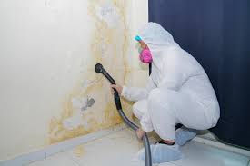 Best Real Estate Mold Inspection  in USA